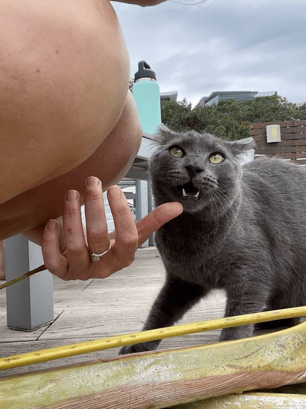 Dirty Mind, Come Here!