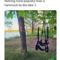 Content Image