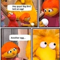Content Image