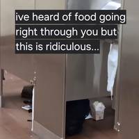 Content Image