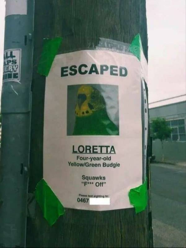 Content Image