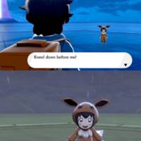 Content Image