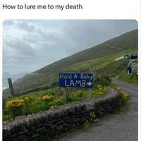 Content Image