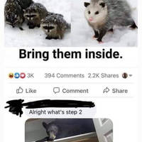 Content Image