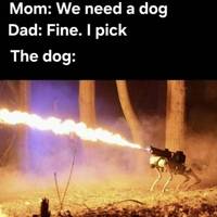 Content Image