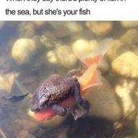 Content Image