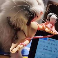 Content Image