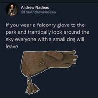 Content Image