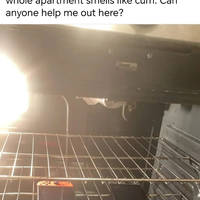 Content Image