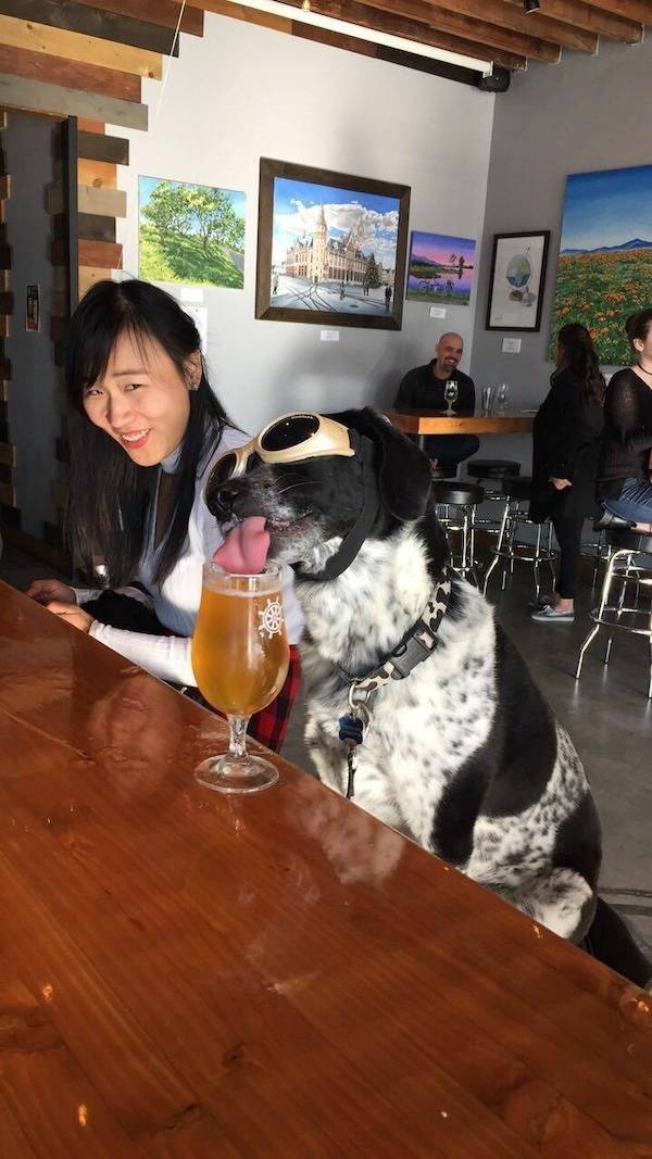 Content Image