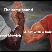 Content Image