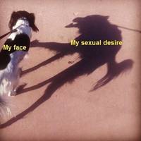 Content Image