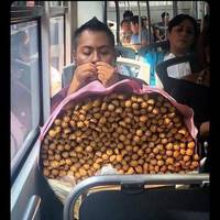 Content Image