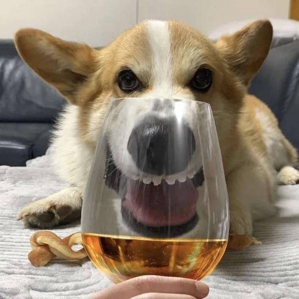Cheers Everyone!