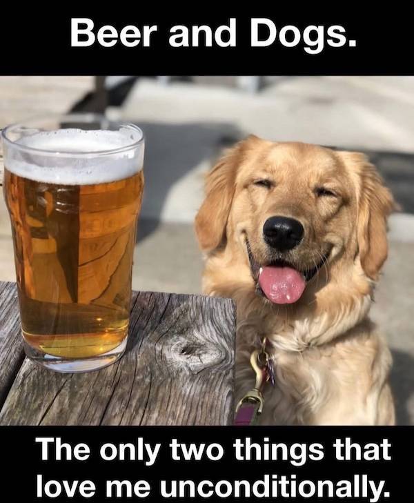 Cheers Everyone!