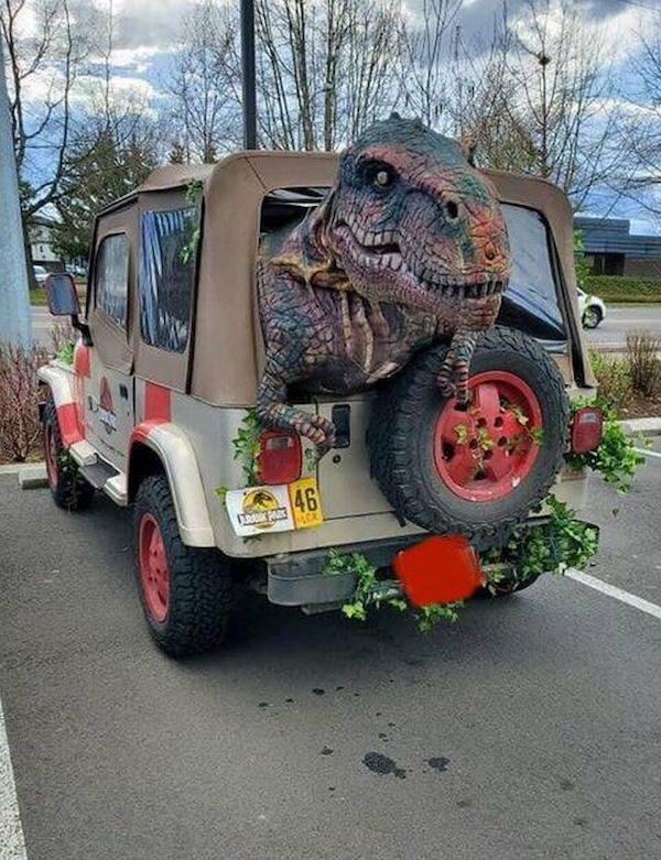 Content Image