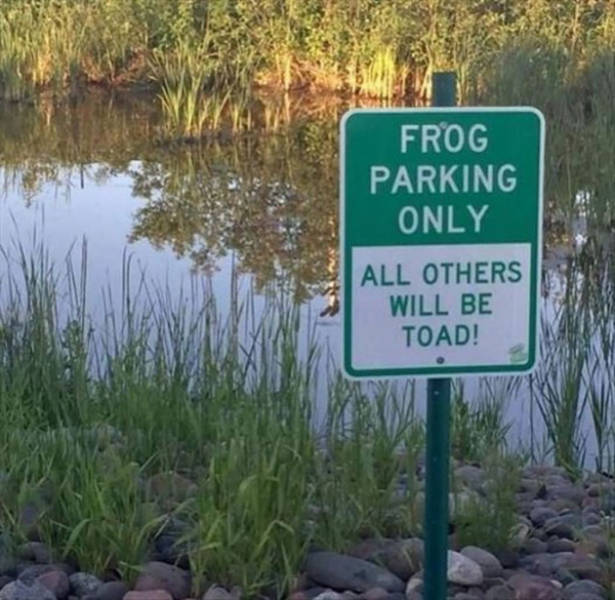 Meanwhile, In Canada…