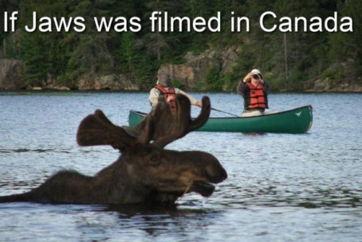 Meanwhile, In Canada…