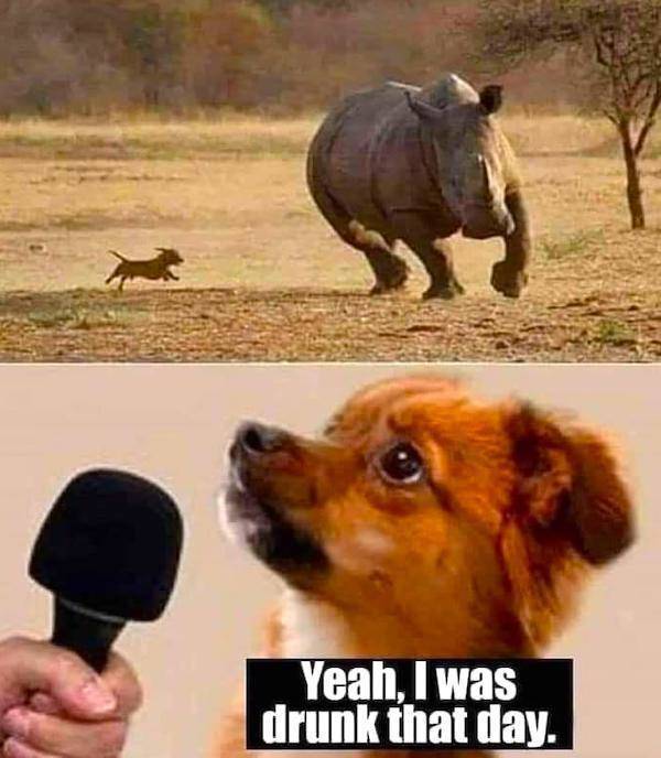 Here’s Your Meme Therapy