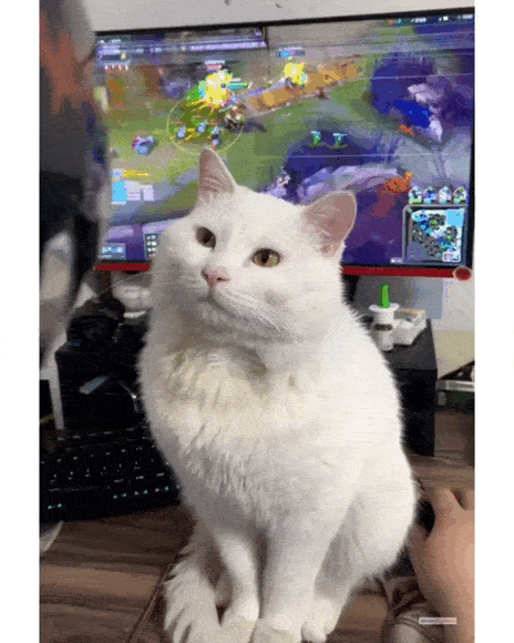 Content Image