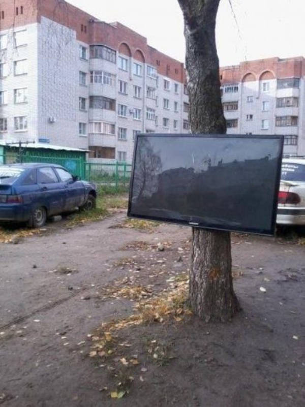 Designs That Tried Their Best