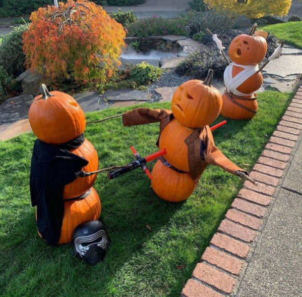 Content Image