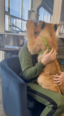 Content Image