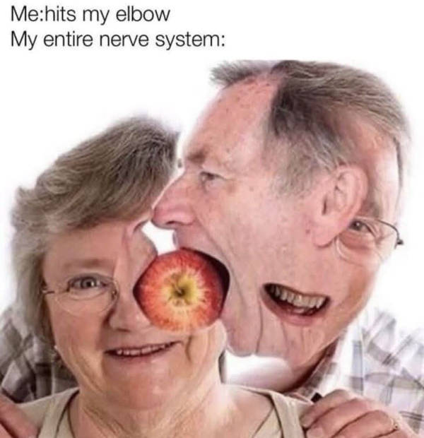 Content Image