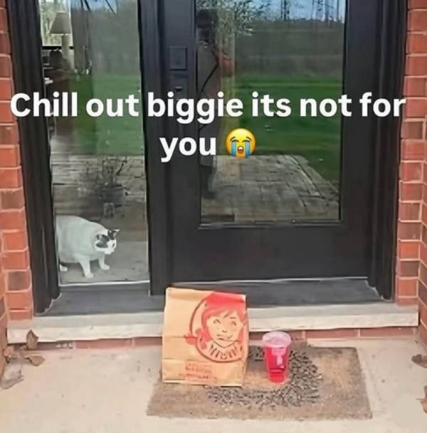 Content Image