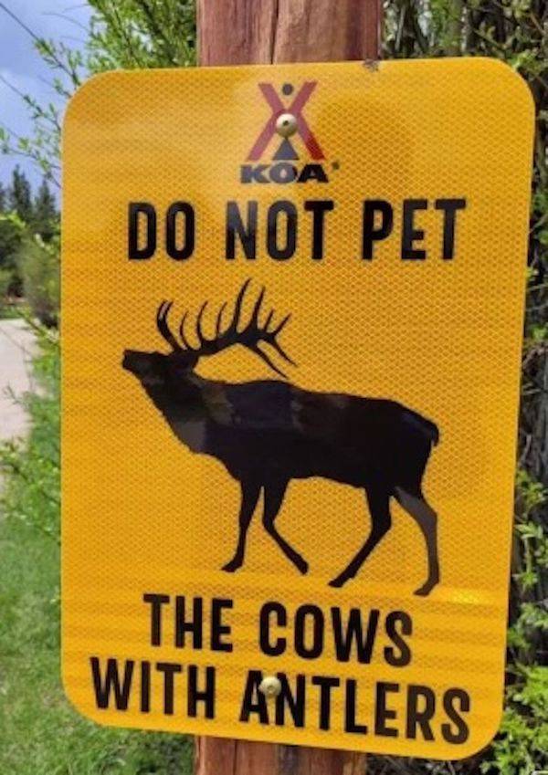 Wis-DUMB Memes at Maximum Capacity