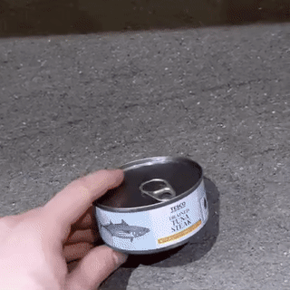 Content Image