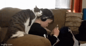 Content Image