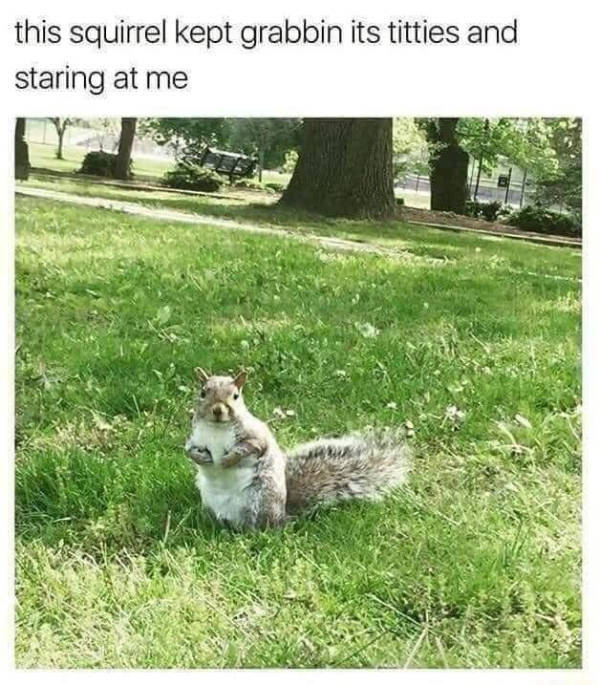 So Dank It Should Be Illegal