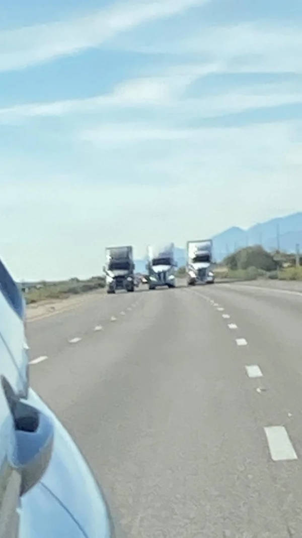 Drivers Who Clearly Skipped the Thinking Part