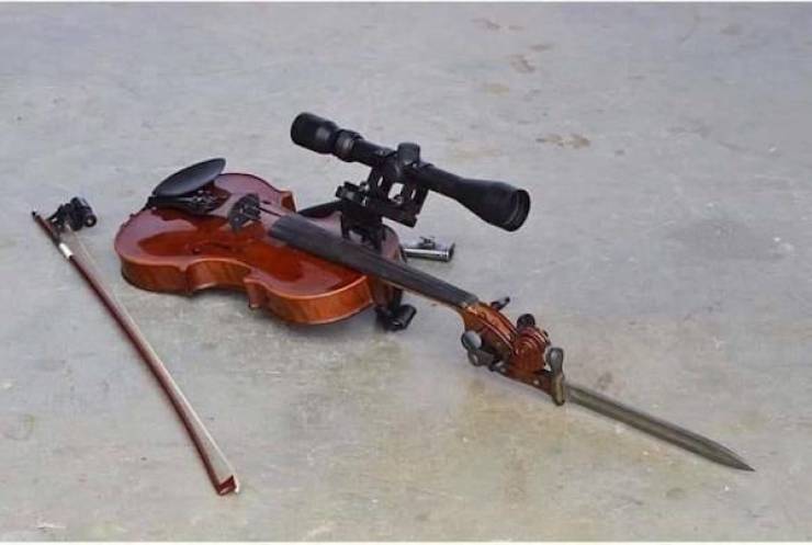 Weird Photos With Zero Context