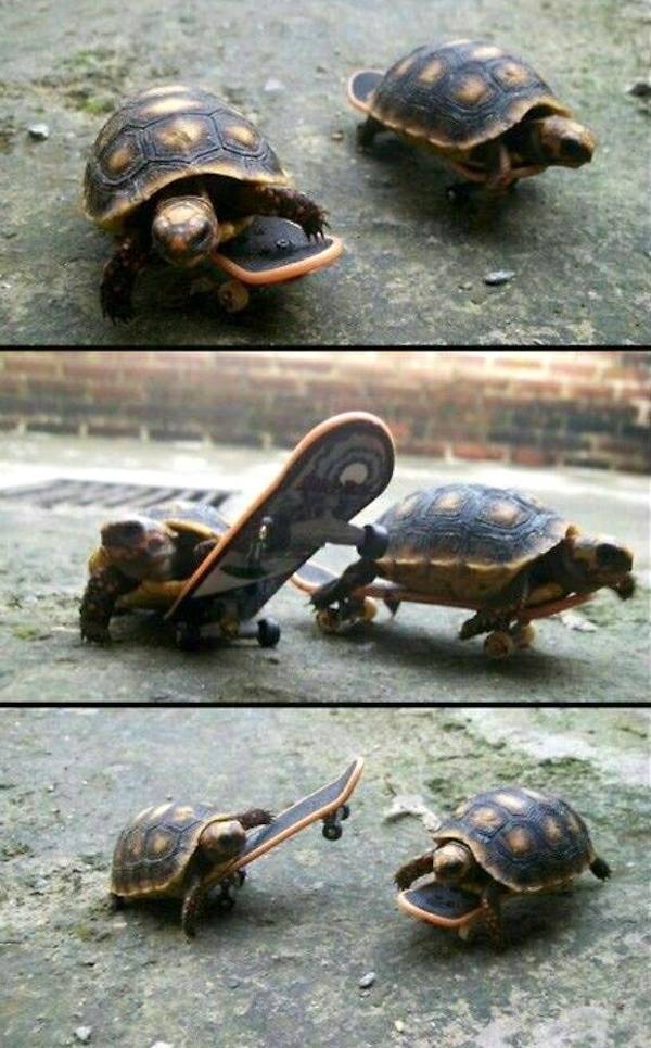 Weird Photos With Zero Context