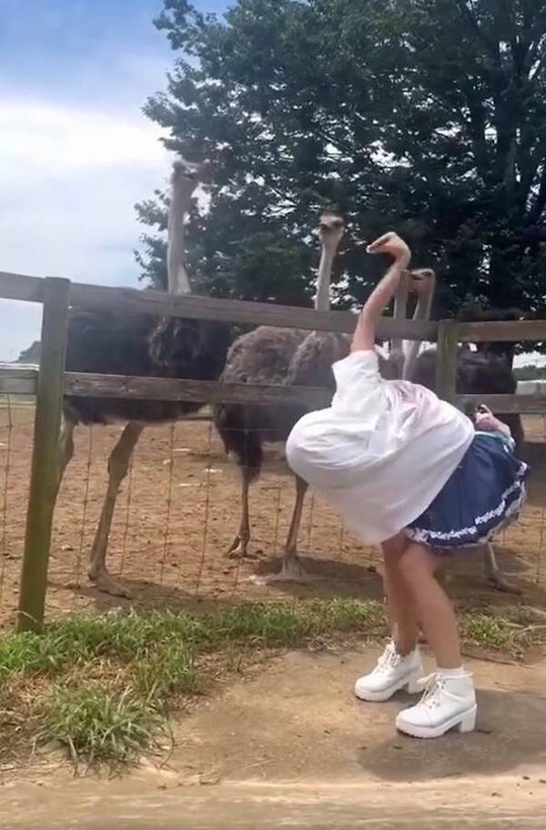 Weird Photos With Zero Context