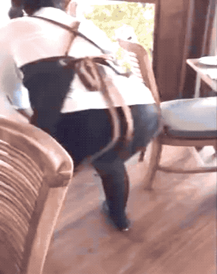 Rocking Girls with Skills