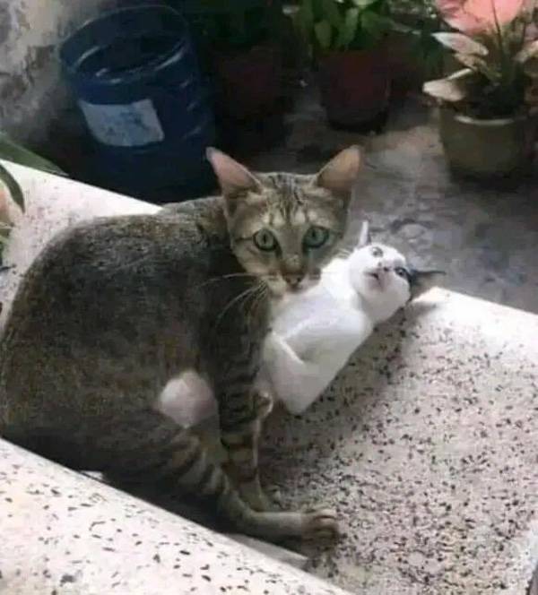 Dirty Dump For Dirty Minds