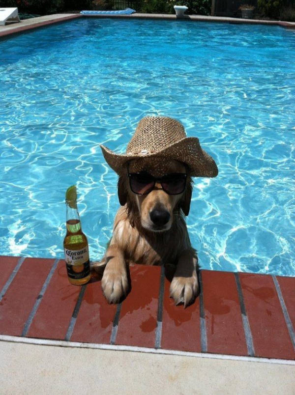 Drinking Never Ends!
