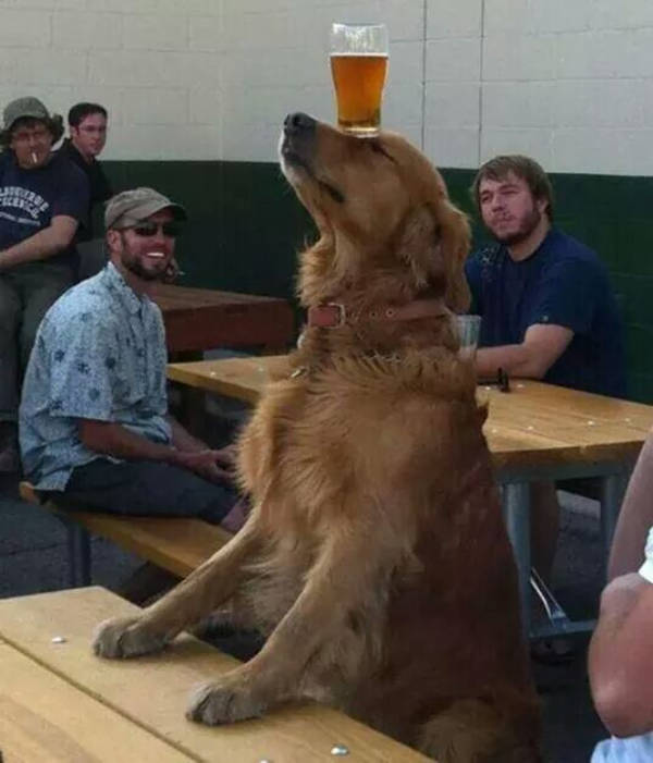 Drinking Never Ends!