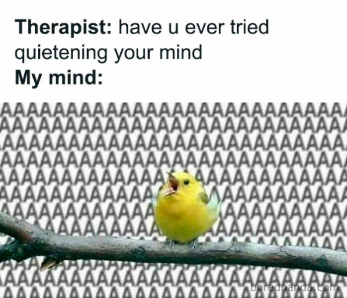 Content Image
