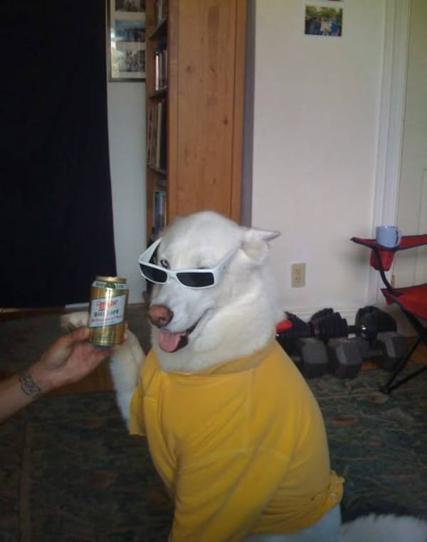 Drinking Never Ends!
