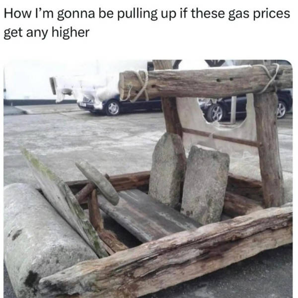 Certified Dank Memes You Need Right Now