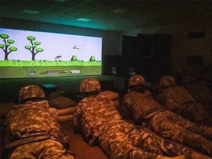 Daily Picdump