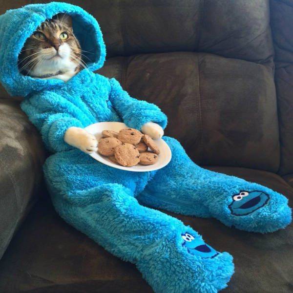 Daily Picdump