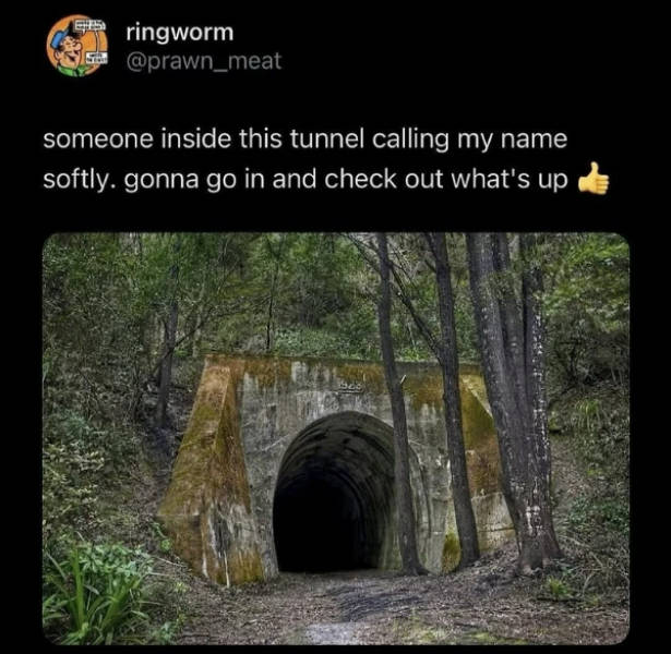 Content Image