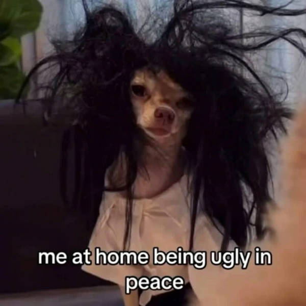 Content Image
