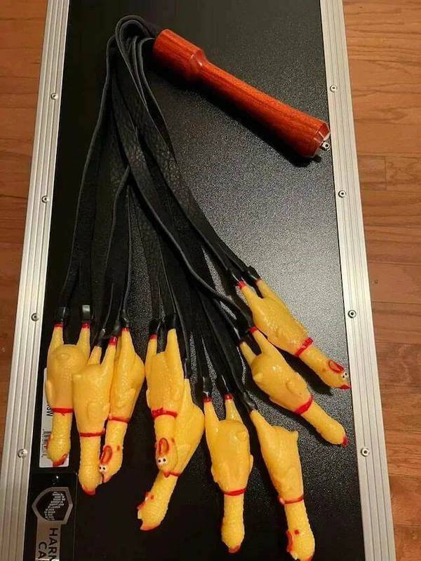 Content Image