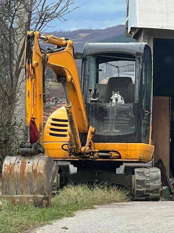 Content Image